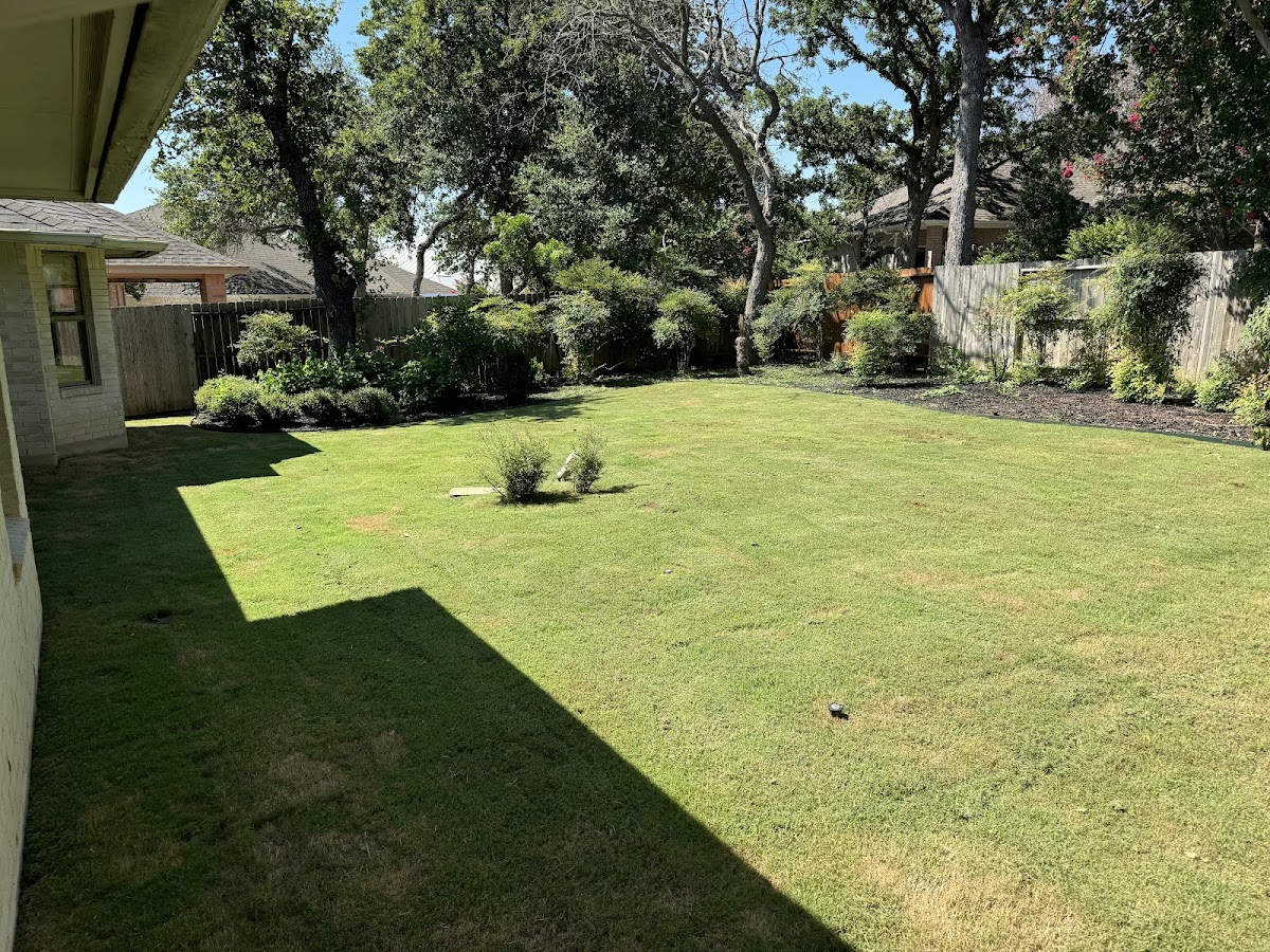 A clean green backyard lawn framed by mature trees and garden beds