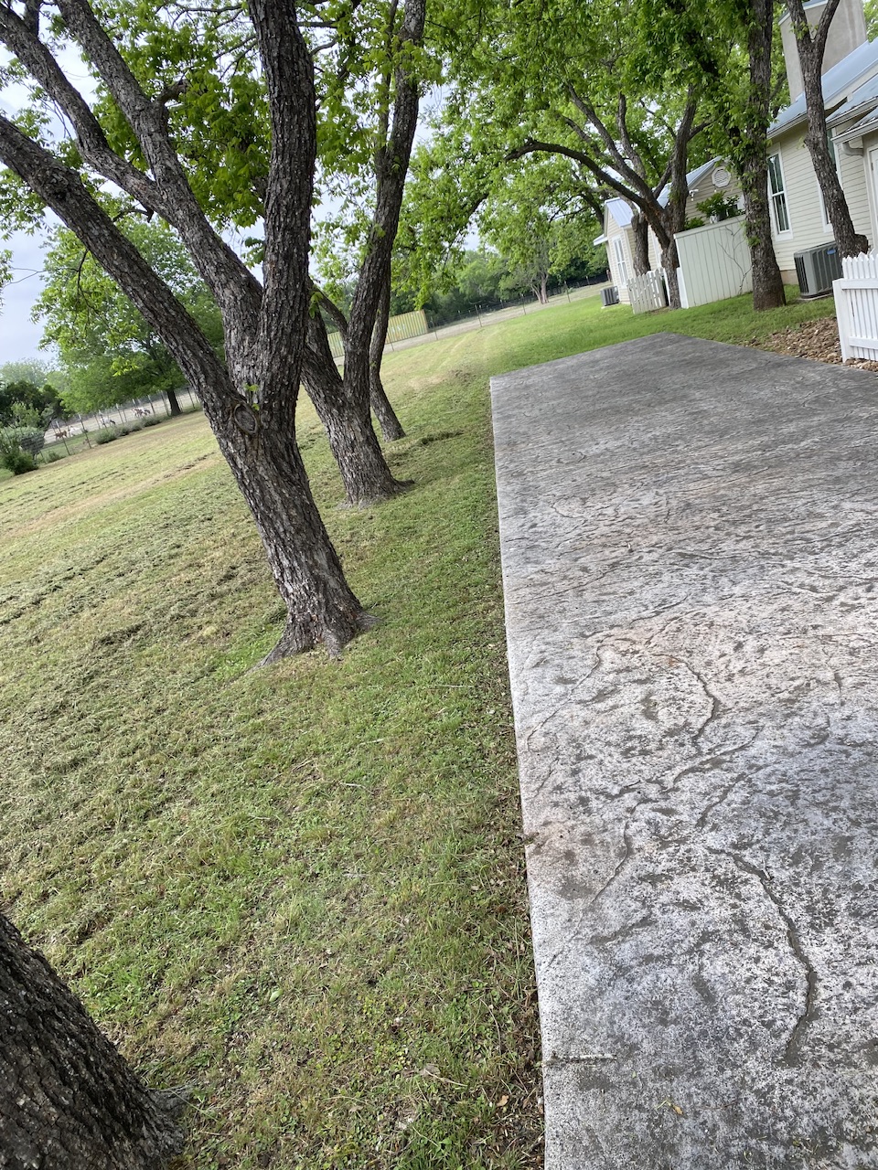 A stamped concrete patio beside a lawn shaded by mature pecan trees